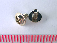 製品写真（screw01-006）